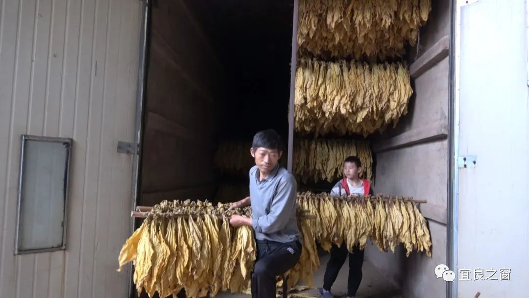 宜良之窗