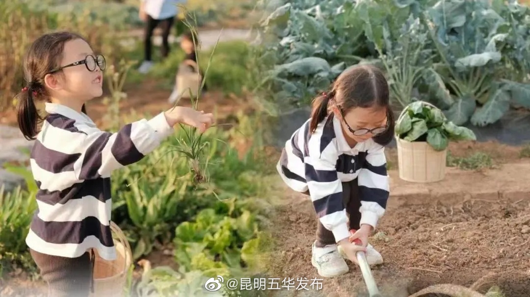 “昆明五华发布”微博