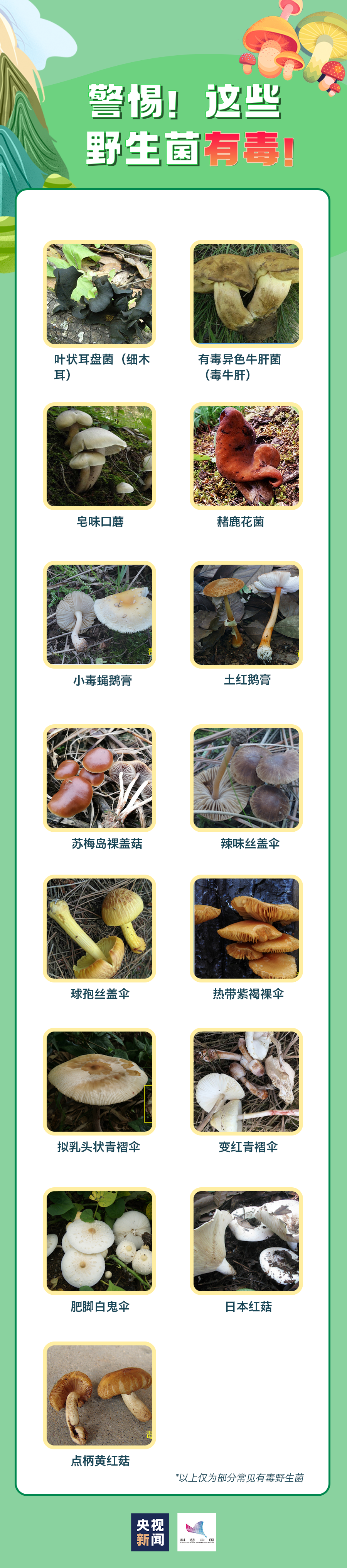 宜良之窗
