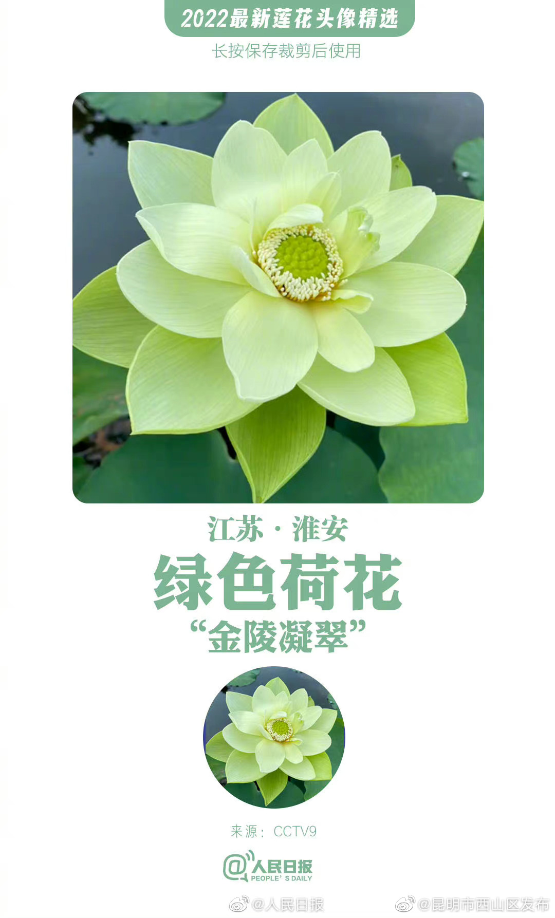 昆明市西山区发布