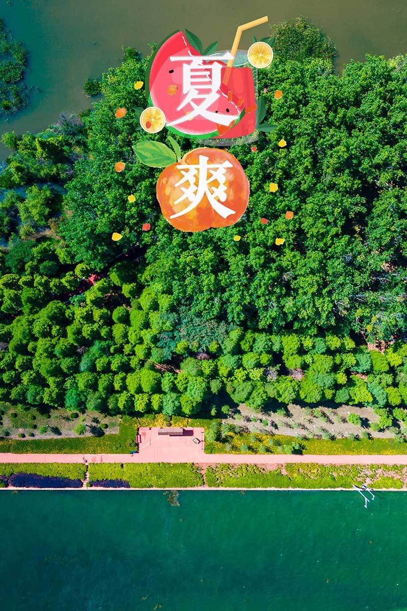 云南省文化和旅游厅