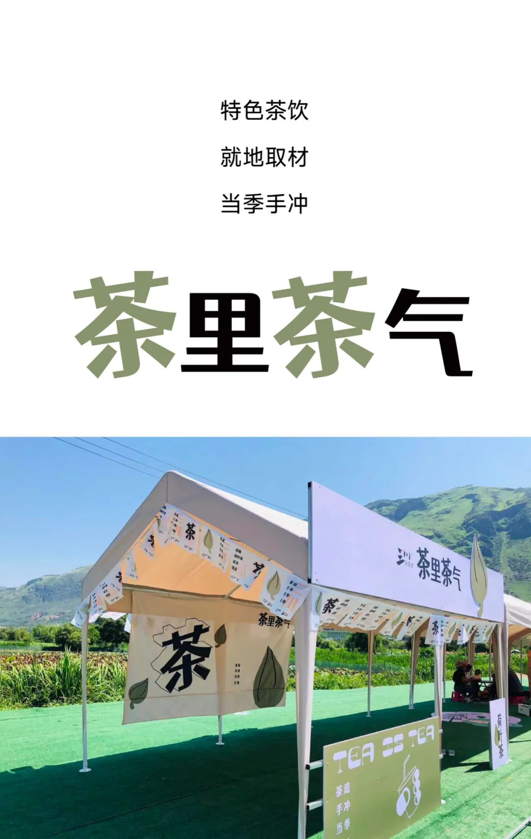 微丽江