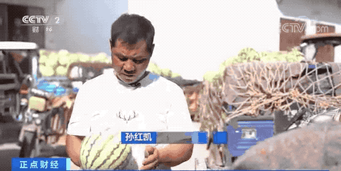 云南法制报
