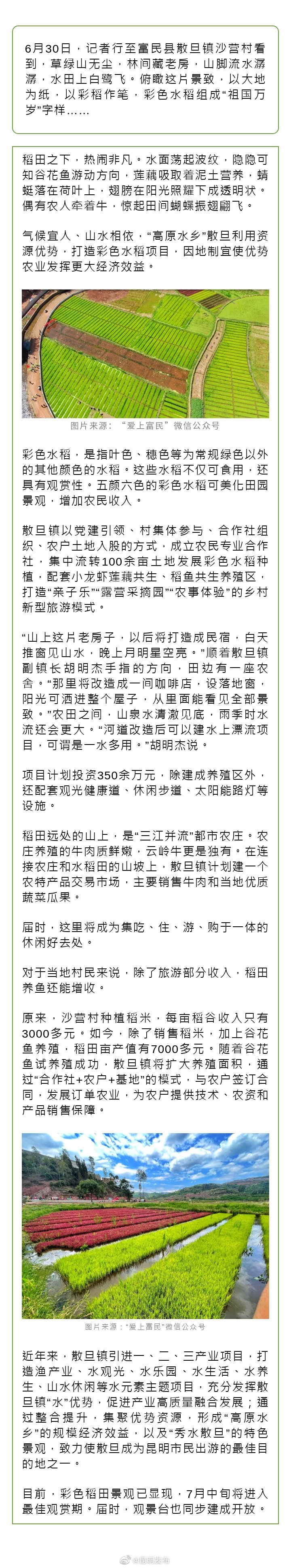 彩稻作笔 绘出美丽乡村画卷