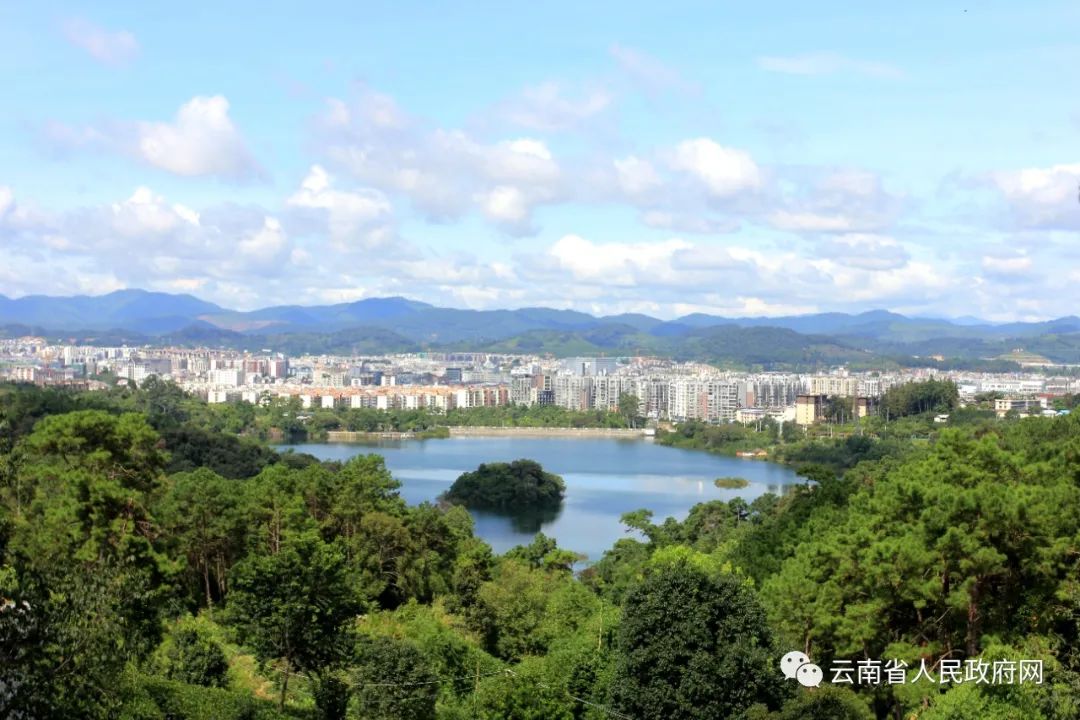 云南省人民政府网