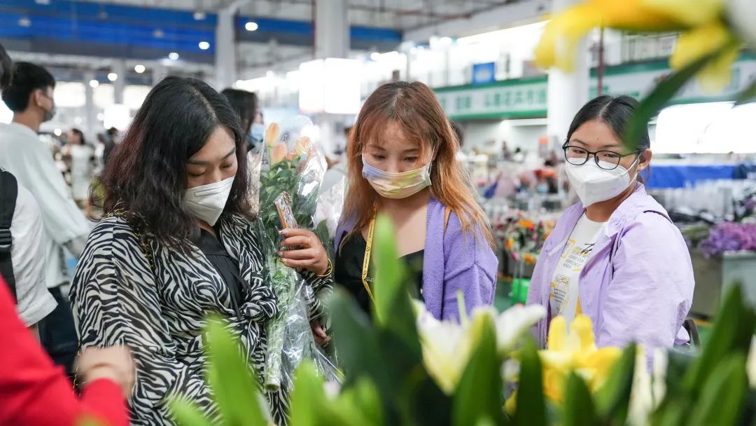 呈贡发布