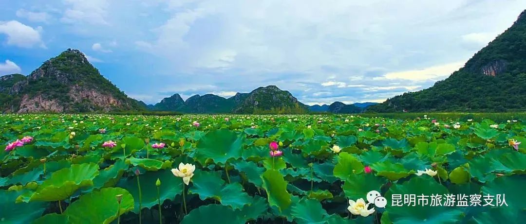 昆明市旅游监察支队