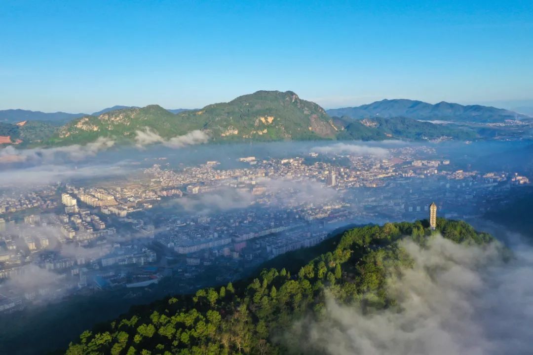 云南省文化和旅游厅