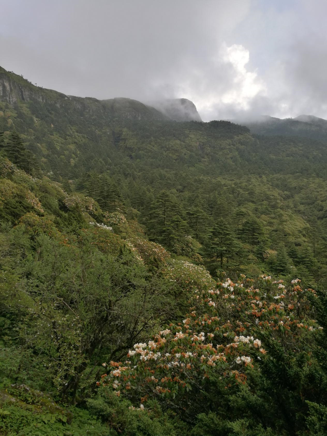昆明轿子山旅游