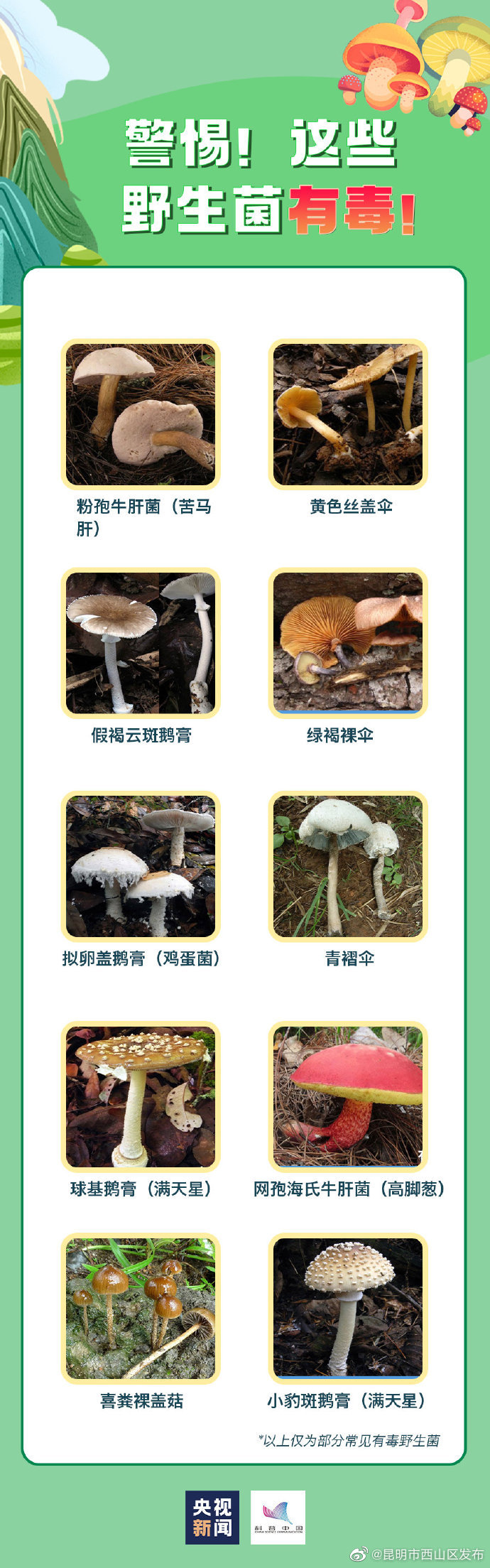 昆明市西山区发布
