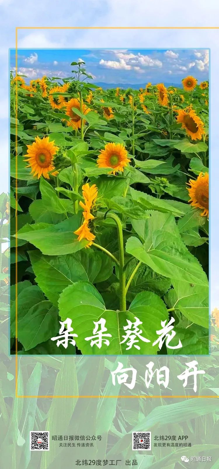 昭通日报