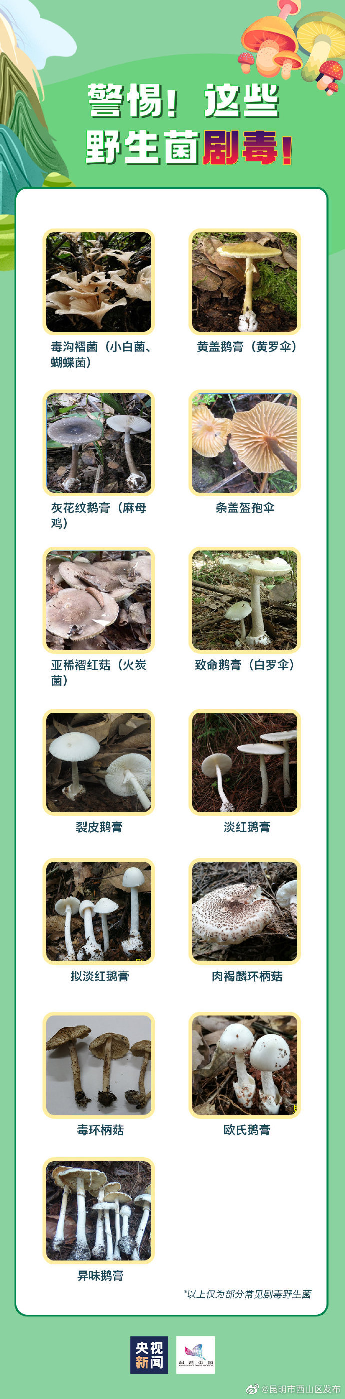 昆明市西山区发布