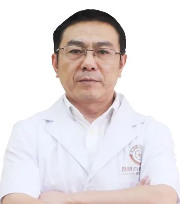 掌上春城
