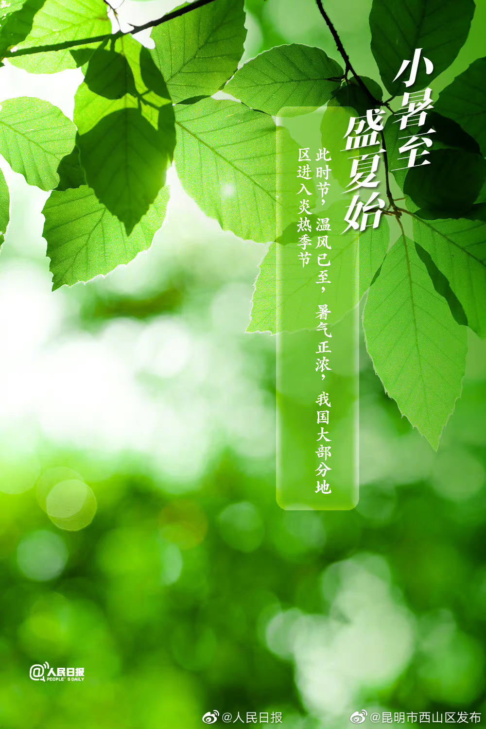 昆明市西山区发布