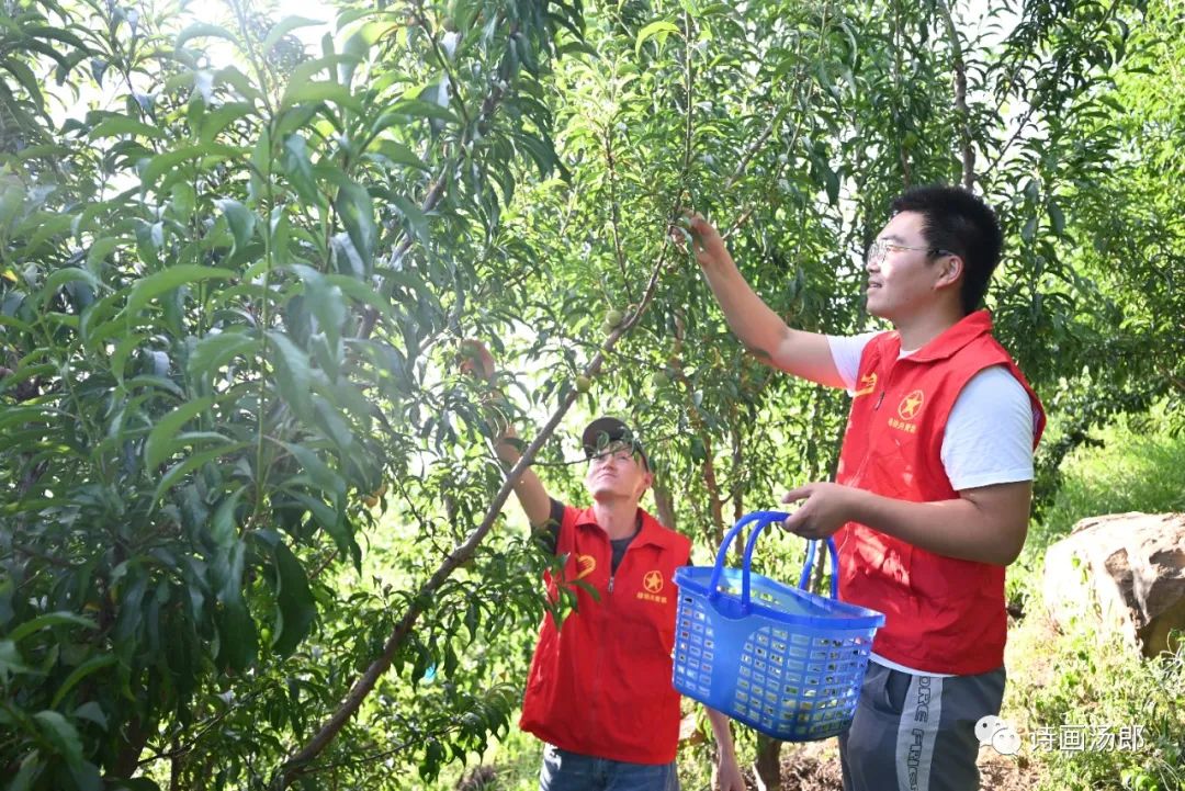 魅力禄劝
