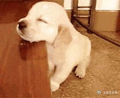 碳水摄入过多下午容易困