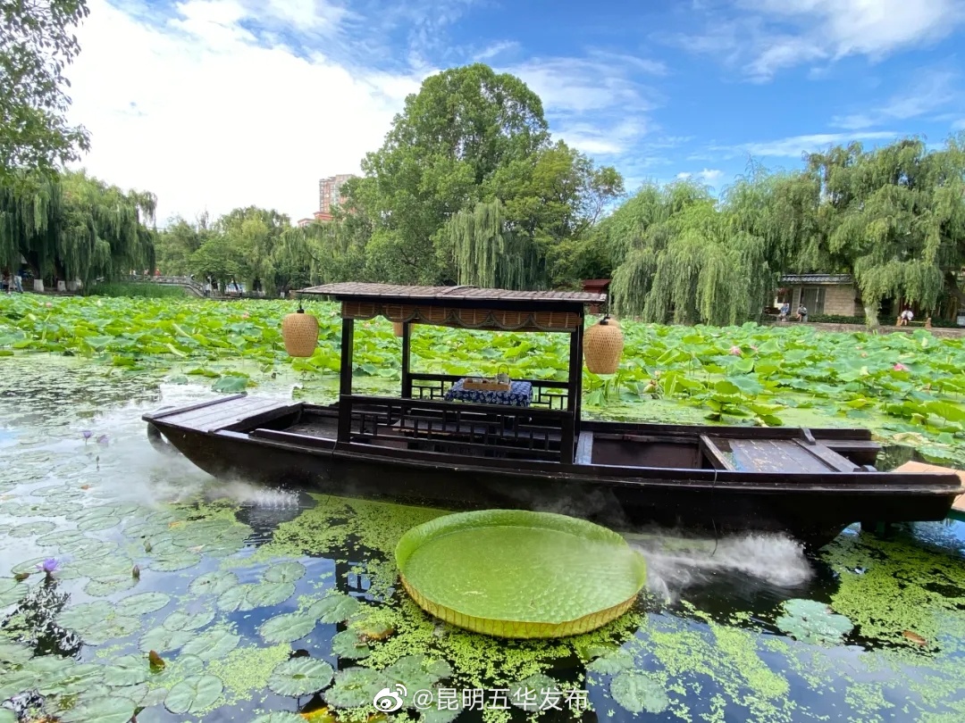 “昆明五华发布”微博