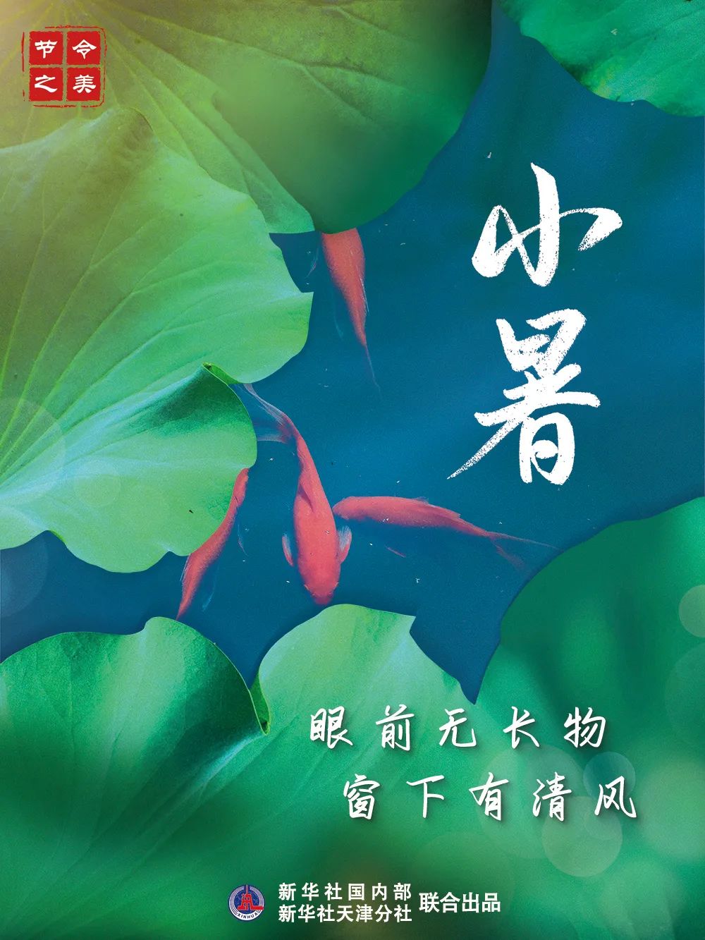 美丽云南微科普