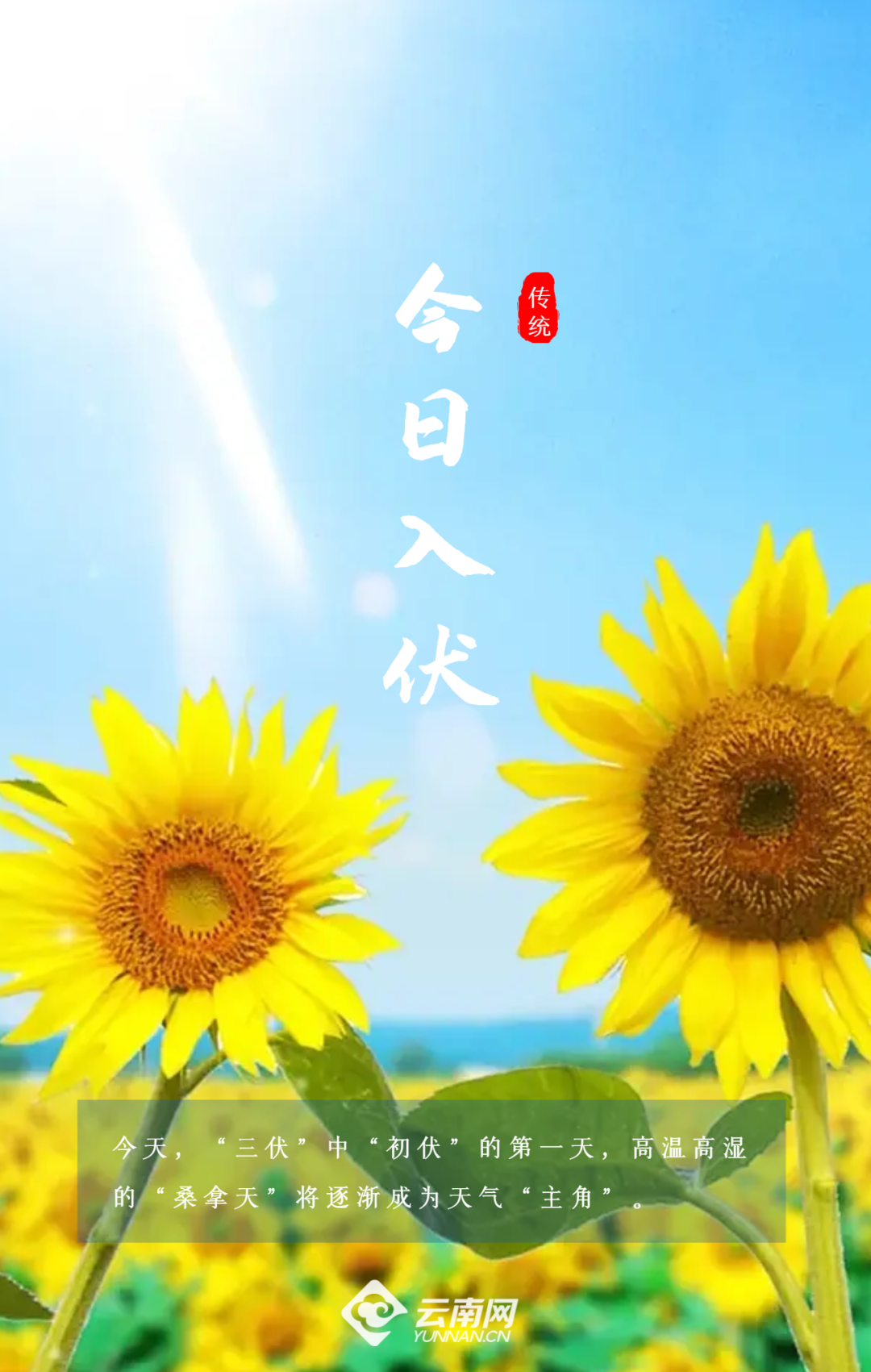 昆明阳宗海风景名胜区(微信)