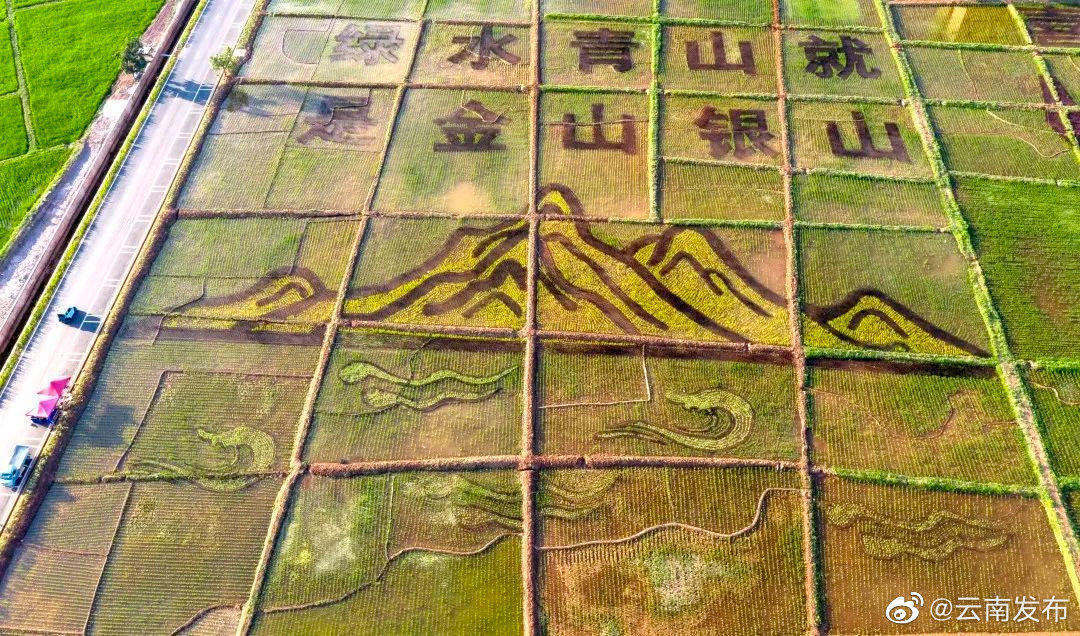 “云南发布”微博
