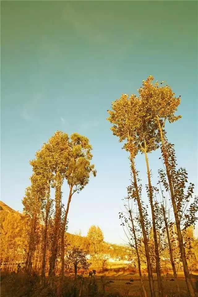 大理电视台