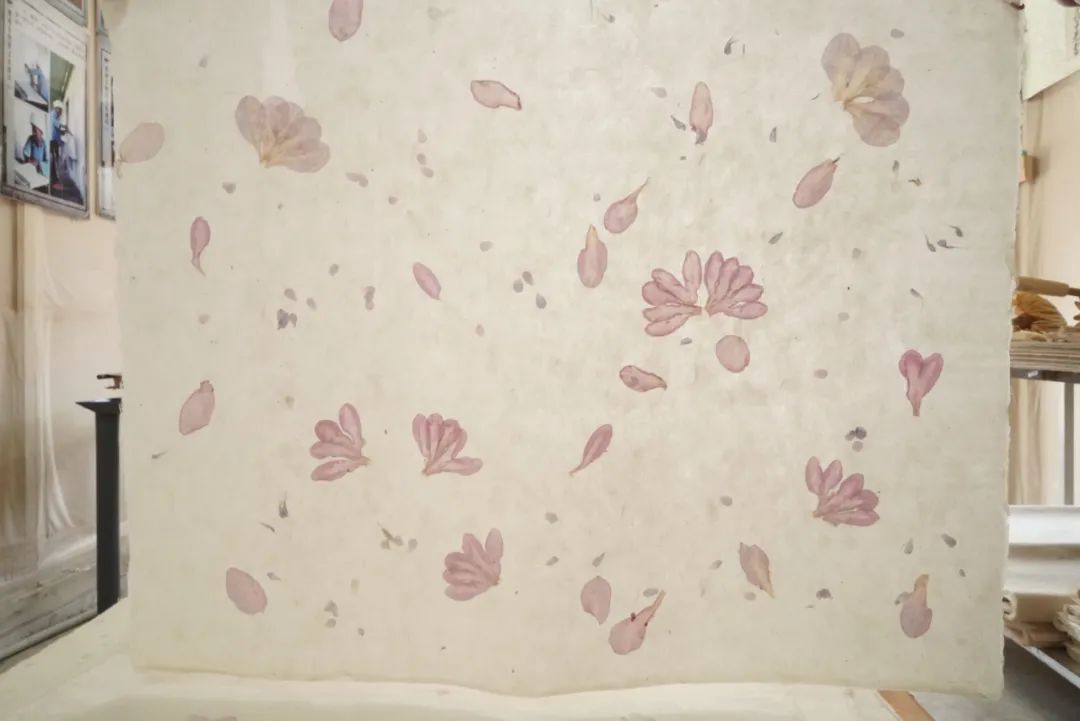 保山新闻网