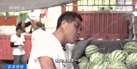 云南法制报