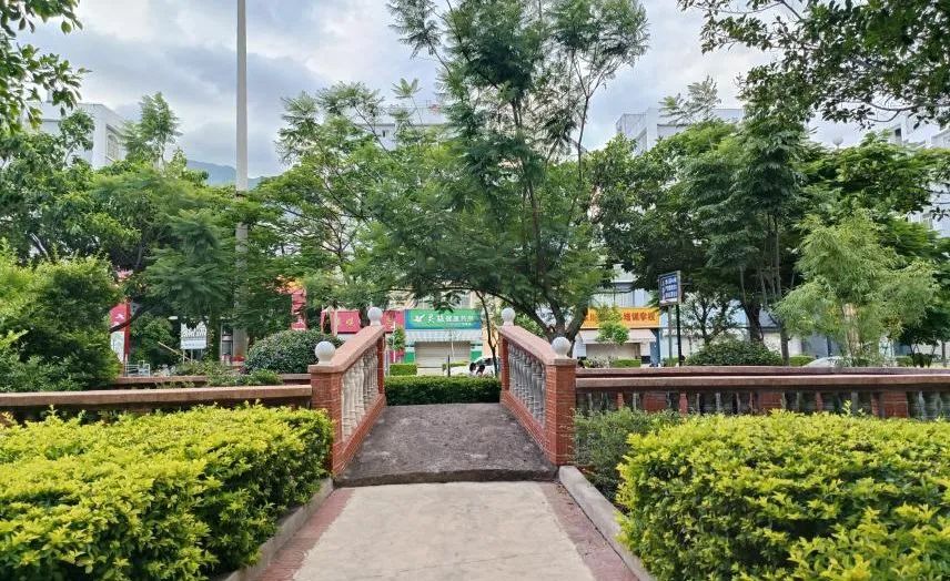 东川新闻