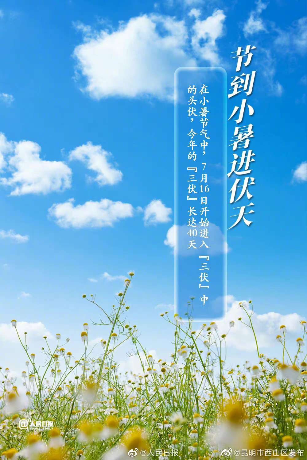 昆明市西山区发布