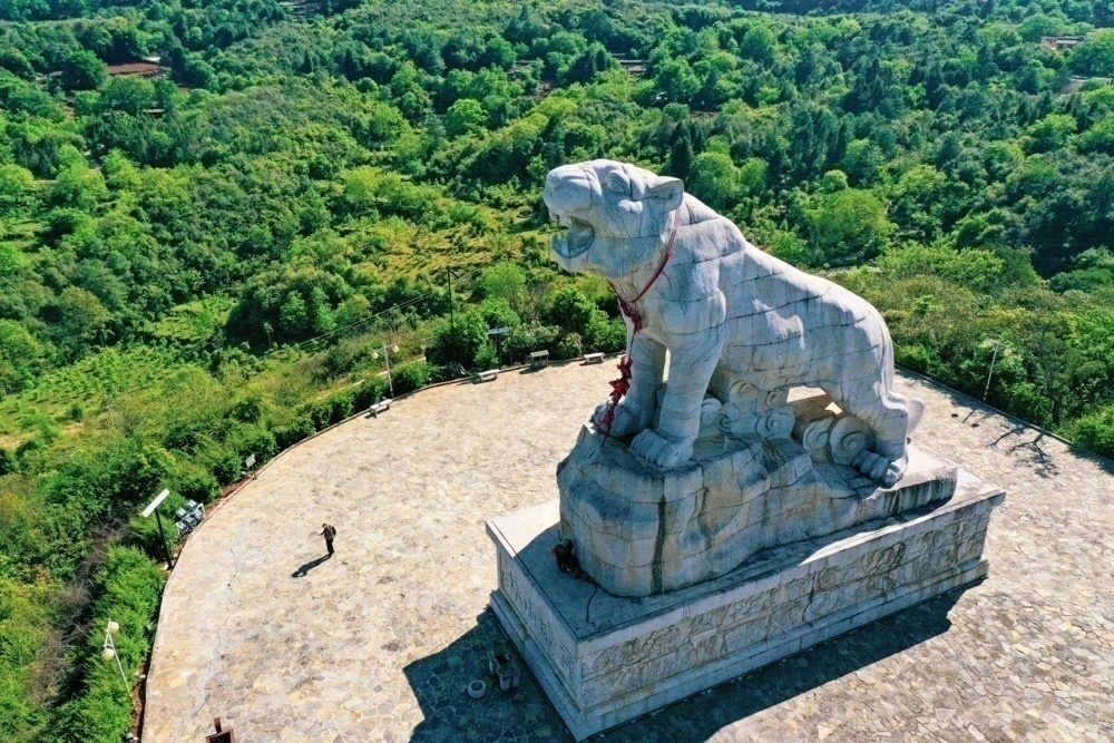 云南省文化和旅游厅