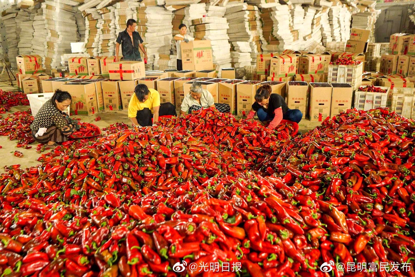 “昆明富民发布”微博