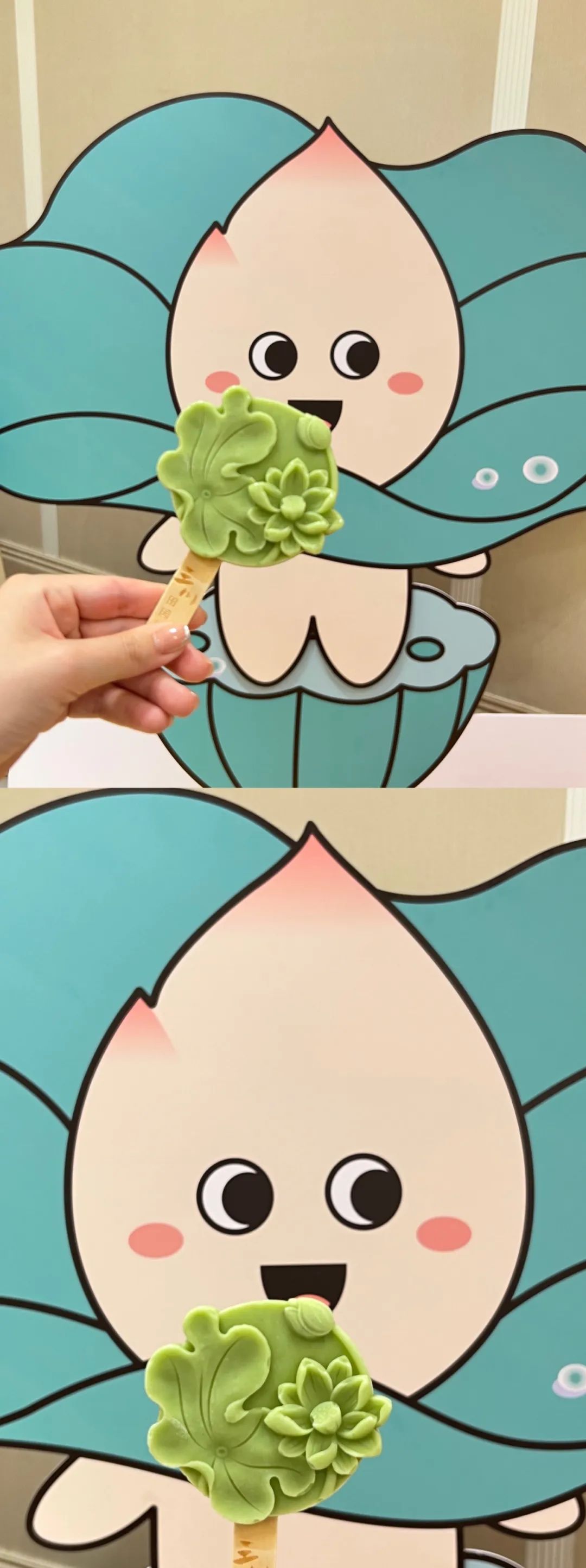 微丽江