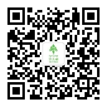 西双版纳望天树景区