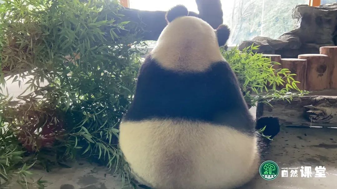 云南野生动物园