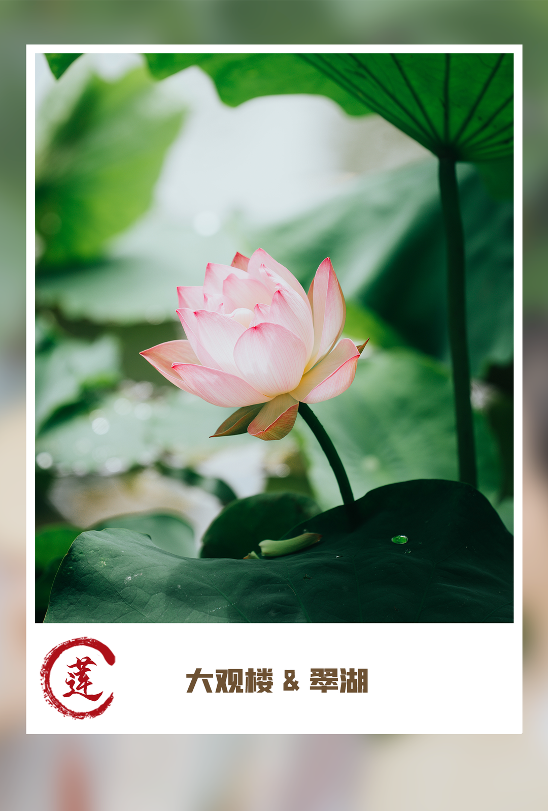 昆明发布