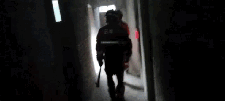 云南法制报