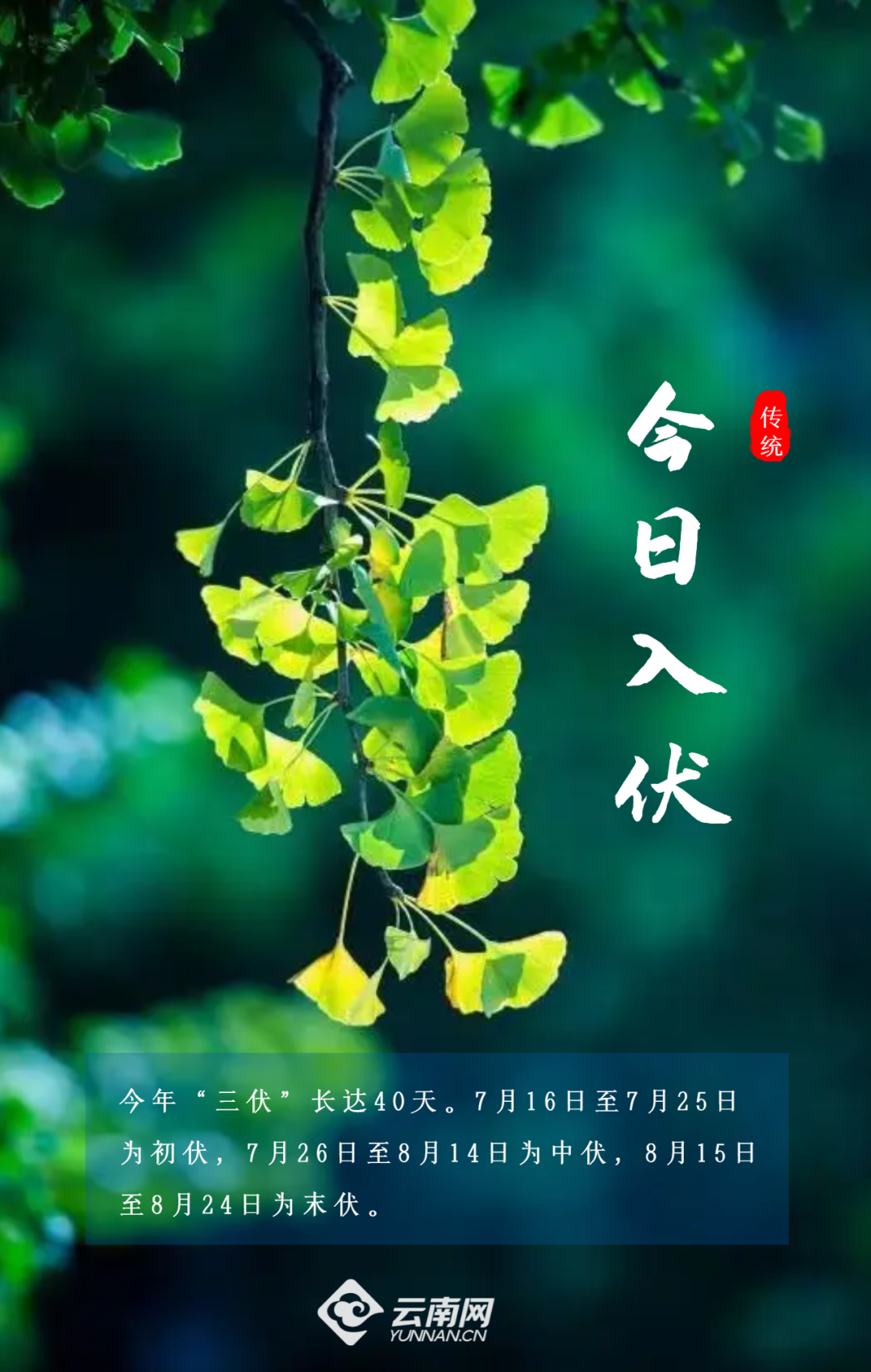 昆明阳宗海风景名胜区(微信)