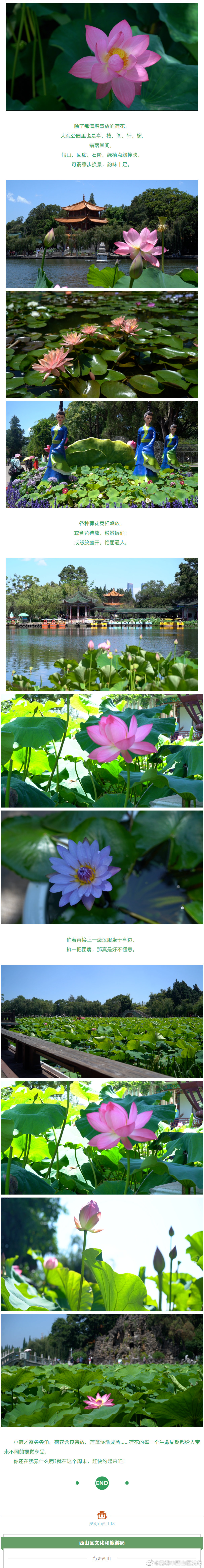 昆明市西山区发布