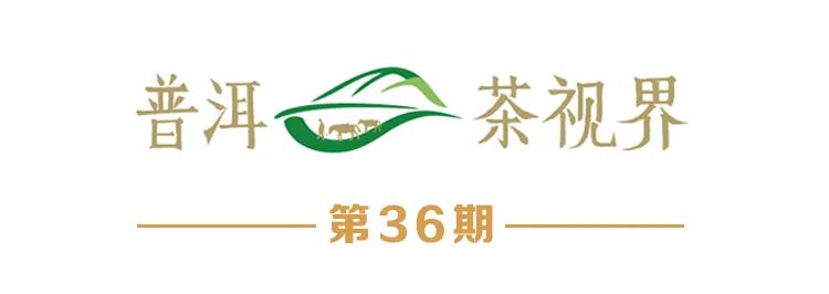 普洱日报
