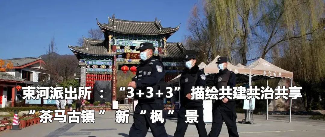云南政法