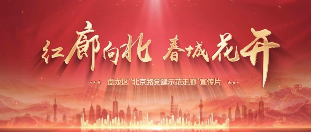 微观盘龙