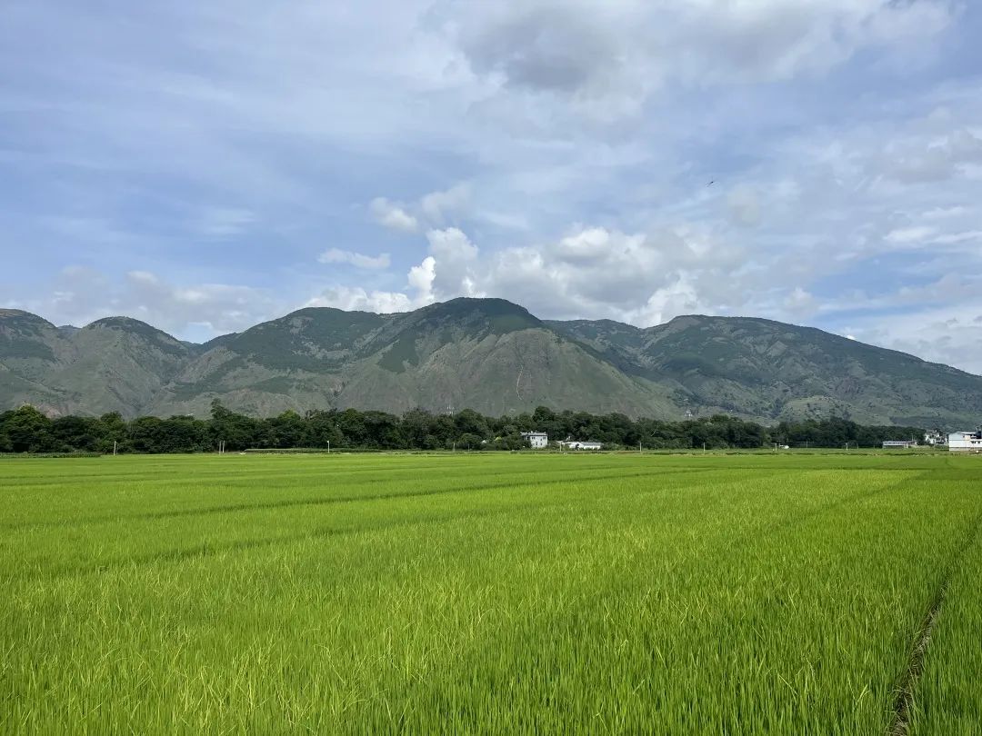 大理电视台