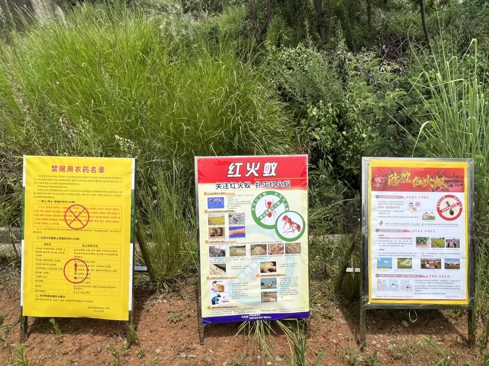 呈贡发布