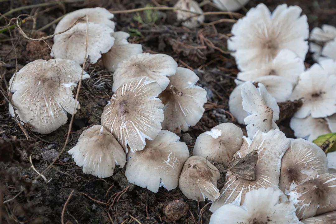 一部手机游云南