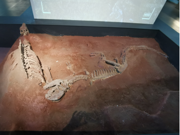 昆明文旅