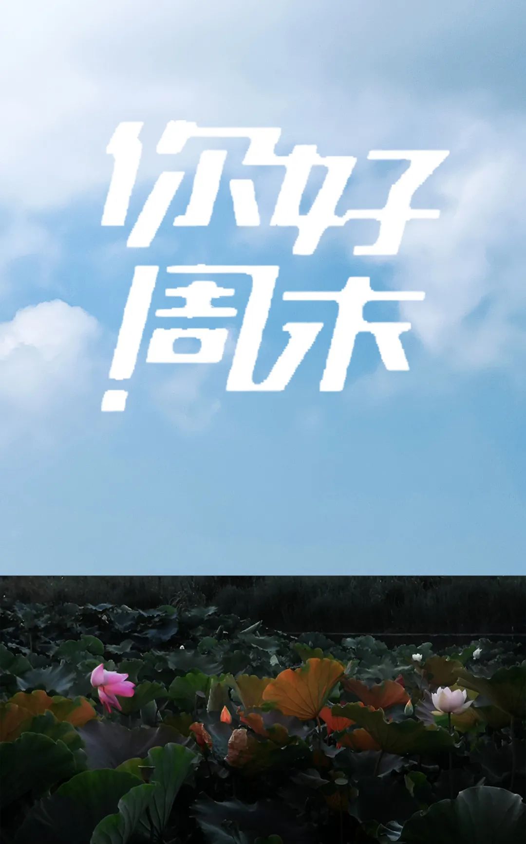 云南高速通
