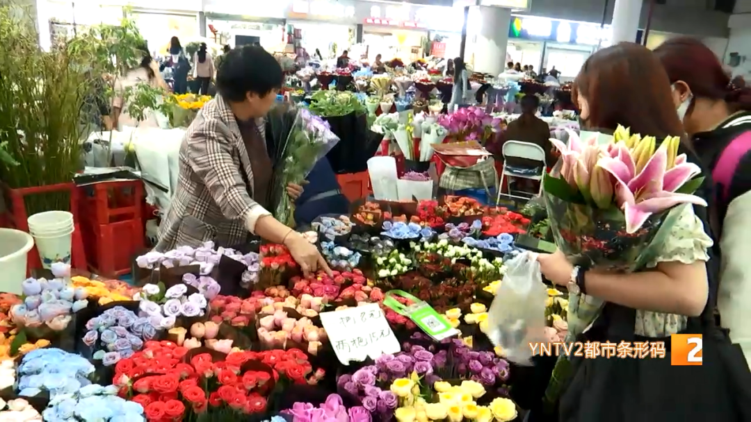 昆明信息港/cnkmxxg