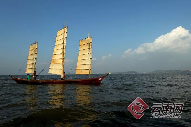 美丽云南微科普