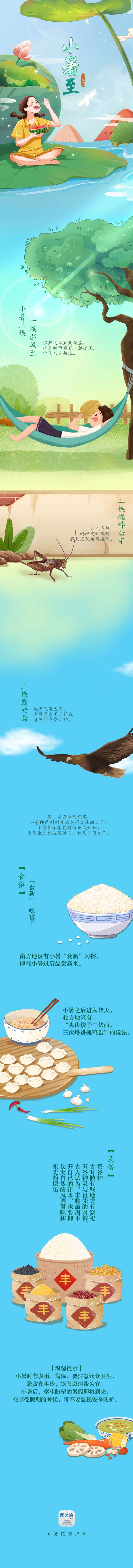 今日小暑|你的盛夏，这个样子