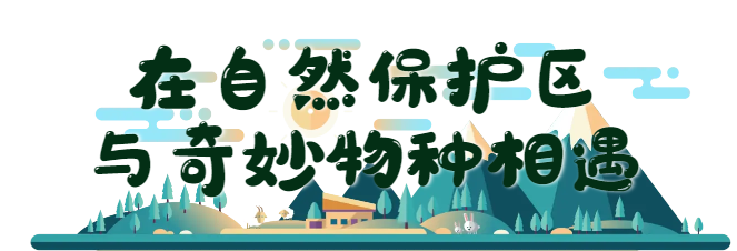 云南省文化和旅游厅